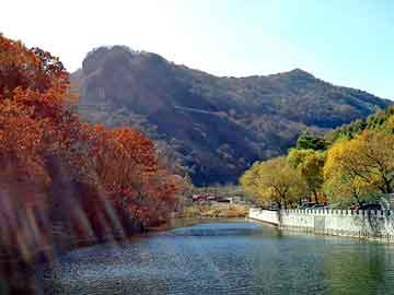 管家婆黑白马报图库，沂水seo营销